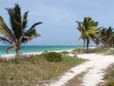 Das Hotel Melia Cayo Coco,_DSC01992_B720